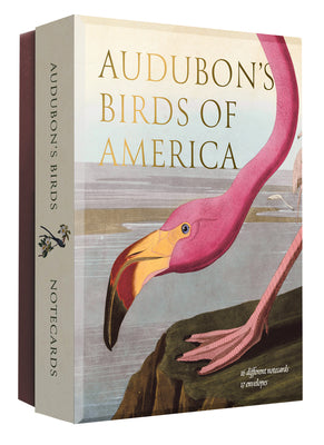 Audubon's Birds of America: An Abbeville Notecard Set product image
