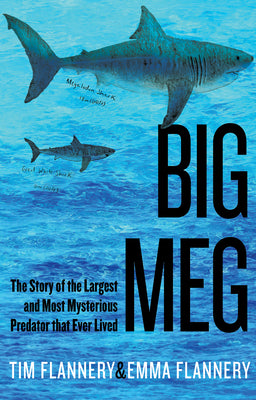 Book cover of Big Meg: The Story of the Largest and Most Mysterious Predator That Ever Lived by Flannery, Tim