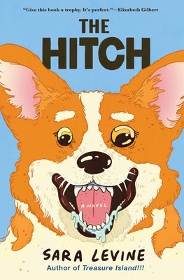 Book cover of The Hitch by Levine, Sara
