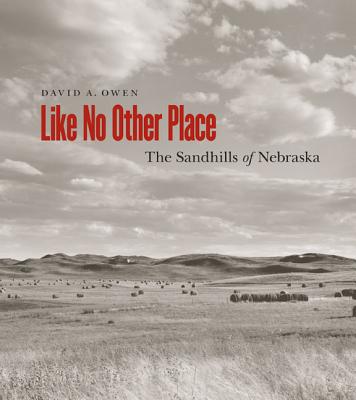 Book cover of Like No Other Place: The Sandhills of Nebraska by Owen, David