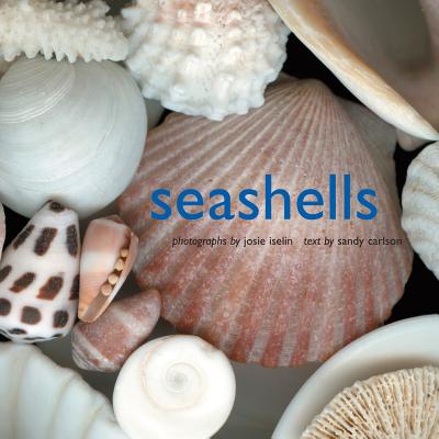Book cover of Seashells by Iselin, Josie