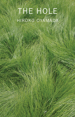 The Hole by Oyamada, Hiroko book cover