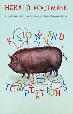 Visions and Temptations by Harald Voetmann book cover