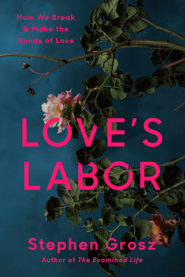 Book cover of Love's Labor: How We Break and Make the Bonds of Love by Grosz, Stephen