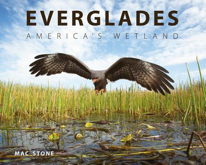 Book cover of Everglades: America's Wetland by Stone, Mac