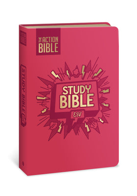 Book cover of The Action Bible Study Bible Esv, Leathersoft, Pink, Full Color by David C Cook