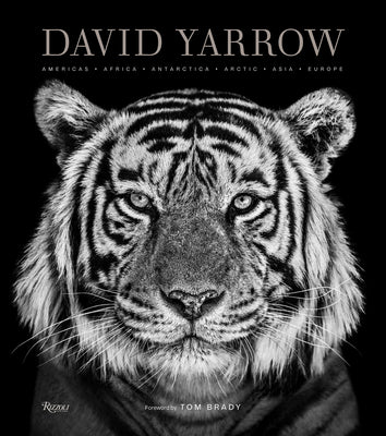 Book cover of David Yarrow Photography: Americas Africa Antarctica Arctic Asia Europe by Yarrow, David