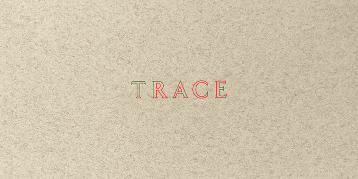 Book cover of Jenny Holzer: Trace by Holzer, Jenny