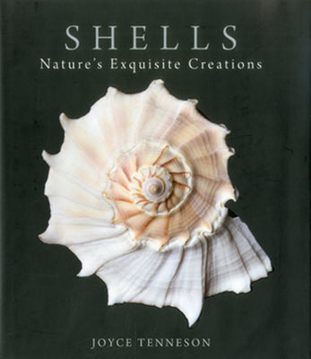 Book cover of Shells: Nature's Exquisite Creations by Tenneson, Joyce