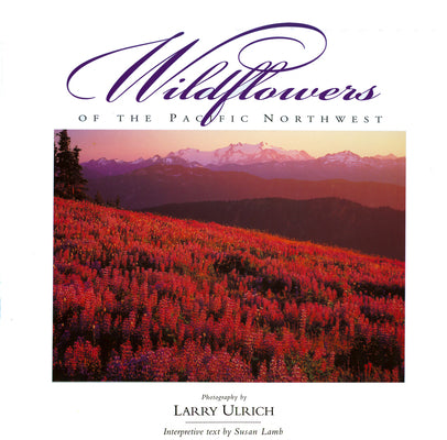 Book cover of Wildflowers of the Pacific Northwest by Ulrich, Larry