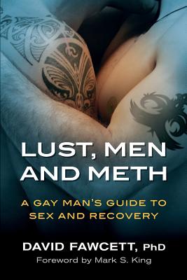 Lust, Men, and Meth: A Gay Man's Guide to Sex and Recovery by David Fawcett book cover