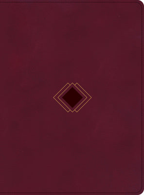 Book cover of CSB Day-By-Day Chronological Bible, Burgundy Leathertouch by Guthrie, George H.