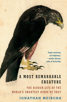 A Most Remarkable Creature: The Hidden Life of the World's Smartest Birds of Prey by Jonathan Meiburg book cover