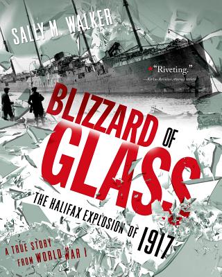 Blizzard of Glass by Sally M. Walker book cover