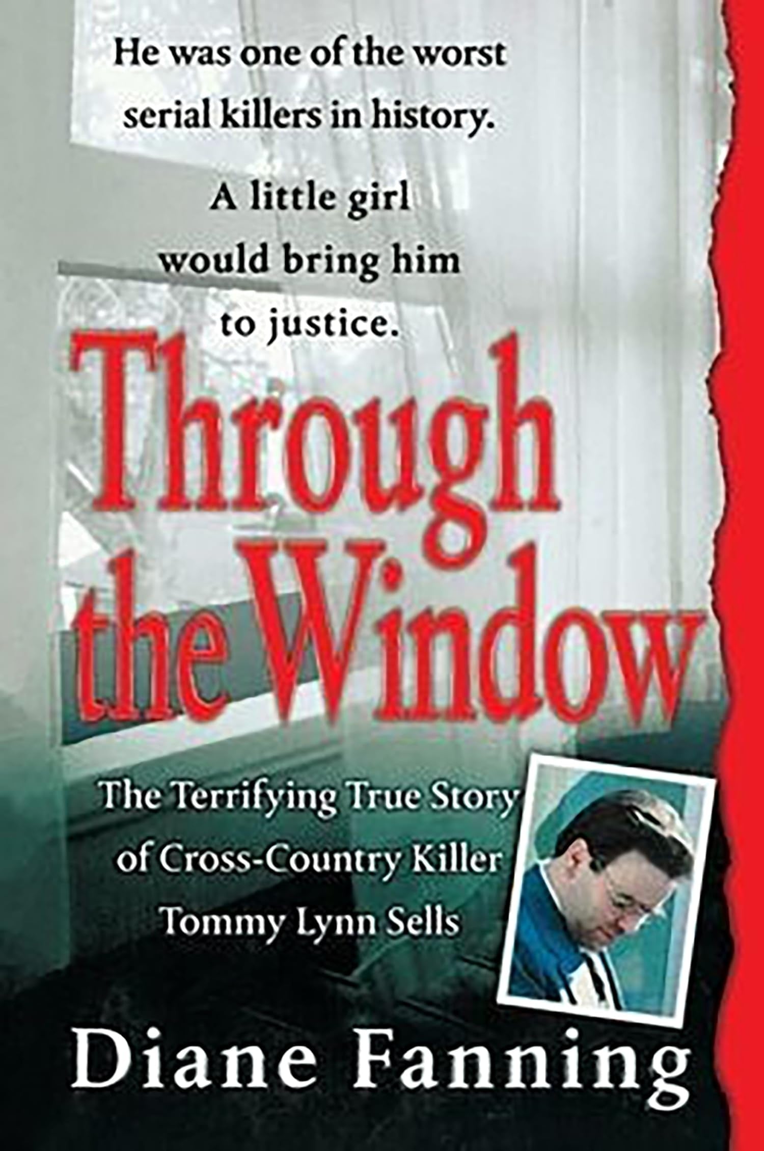 Book cover of Through the Window by Fanning, Diane