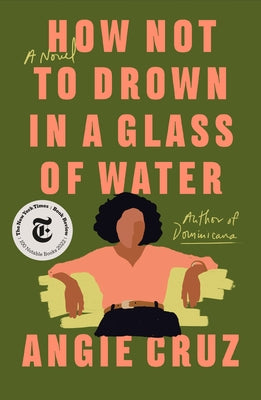How Not to Drown in a Glass of Water by Angie Cruz book cover