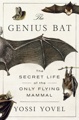 Book cover of The Genius Bat: The Secret Life of the Only Flying Mammal by Yovel, Yossi