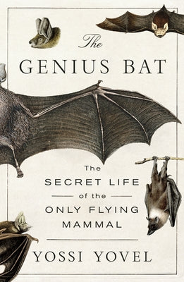 The Genius Bat: The Secret Life of the Only Flying Mammal by Yossi Yovel book cover