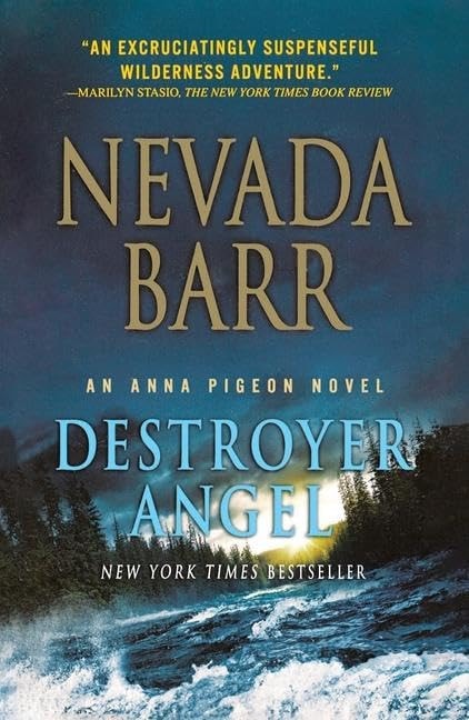 Book cover of Destroyer Angel by Barr, Nevada