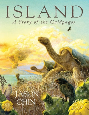 Island by Jason Chin book cover