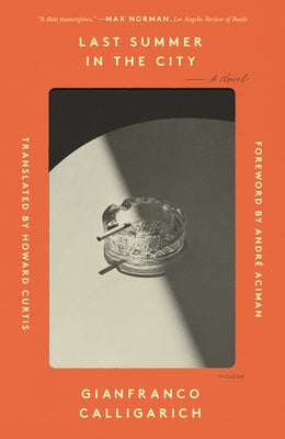 Last Summer in the City by Calligarich, Gianfranco book cover