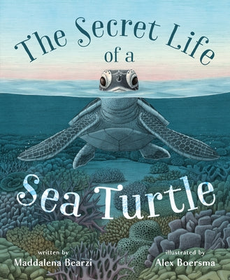Book cover of The Secret Life of a Sea Turtle by Bearzi, Maddalena