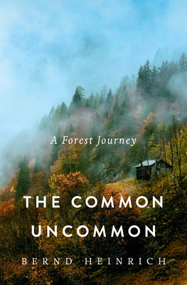 Book cover of The Common Uncommon: A Forest Journey by Heinrich, Bernd