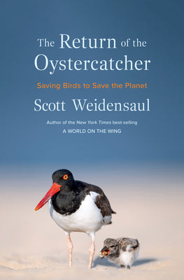 Book cover of The Return of the Oystercatcher: Saving Birds to Save the Planet by Weidensaul, Scott