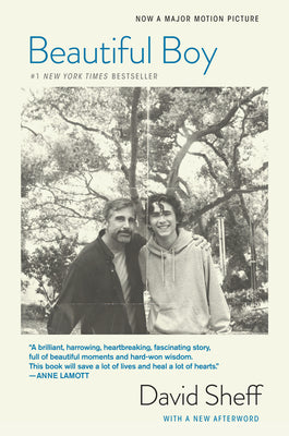 Book cover of Beautiful Boy (Tie-In): A Father's Journey Through His Son's Addiction by Sheff, David