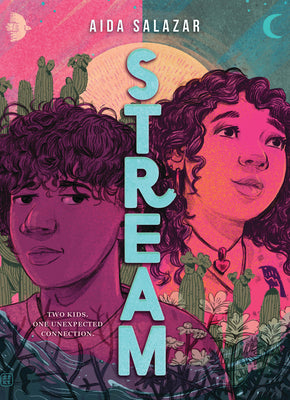 Stream by Salazar, Aida book cover
