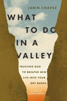 What to Do in a Valley: Trusting God to Breathe New Life Into Your Dry Bones by Jabin Chavez book cover