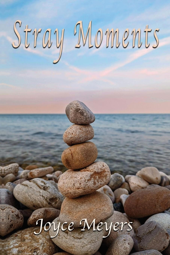 Book cover of Stray Moments by Meyers, Joyce