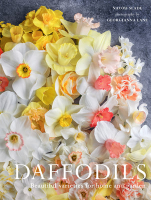 Book cover of Daffodils: Beautiful Varieties for Home and Garden by Slade, Naomi