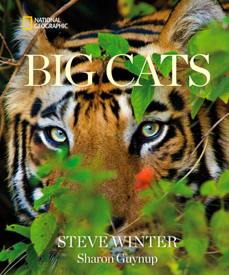 Big Cats by Steve Winter book cover