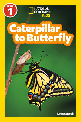 Caterpillar to Butterfly (National Geographic Kids Readers, Level 1) by Laura Marsh book cover