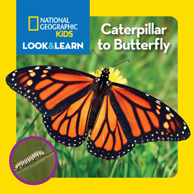 National Geographic Kids Look & Learn: Caterpillar to Butterfly by National Geographic Kids book cover