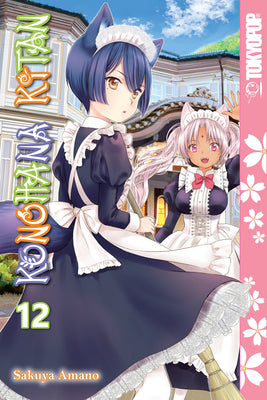 Book cover of Konohana Kitan, Volume 12 by Amano, Sakuya