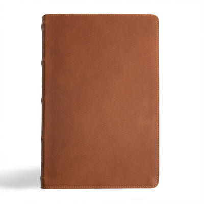 Book cover of CSB Men's Daily Bible, Brown Genuine Leather, Indexed by Wolgemuth, Robert