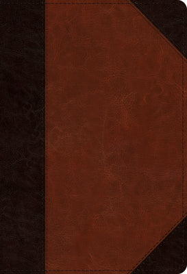 Book cover of ESV Student Study Bible (Trutone, Brown/Cordovan, Portfolio Design) by Esv Bibles