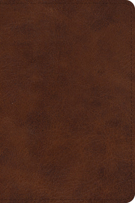 Book cover of ESV Large Print Bible (Trutone, Deep Brown) by Esv Bibles