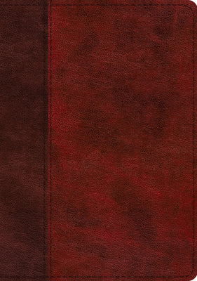 Book cover of ESV Single Column Journaling Bible, Large Print (Trutone, Burgundy/Red, Timeless Design) by Esv Bibles