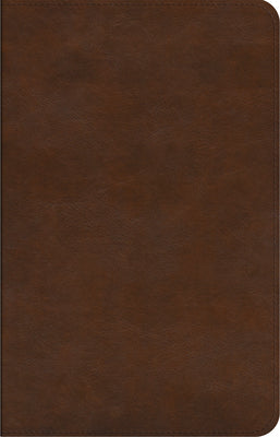 Book cover of ESV Concise Study Bible(tm) (Trutone, Brown) by Esv Bibles