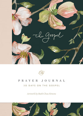 Book cover of ESV Prayer Journal: 30 Days on the Gospel (Paperback) by Allen, Erika