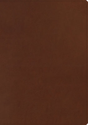 Book cover of ESV Chronological Bible (Trutone, Brown) by Steinmann, Andrew E.