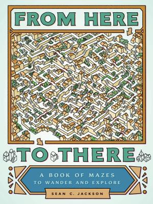 From Here to There: A Book of Mazes to Wander and Explore (Maze Books for Kids, Maze Games, Maze Puzzle Book) product image