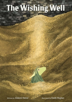 The Wishing Well by Sterer, Gideon book cover