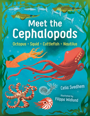 Book cover of Meet the Cephalopods: Octopus, Squid, Cuttlefish, Nautilus by Svedhem, Celia