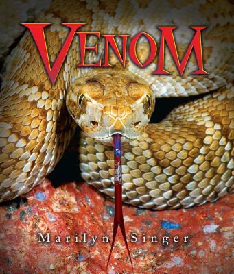 Book cover of Venom by Singer, Marilyn