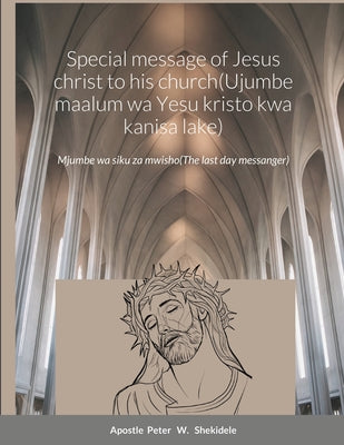Special message of Jesus christ to his church(Ujumbe maalum wa Yesu kristo kwa kanisa lake): The last days messanger by Peter Shekidele book cover