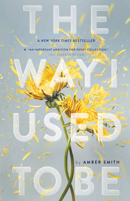 Book cover of Way I Used to Be by Smith, Amber